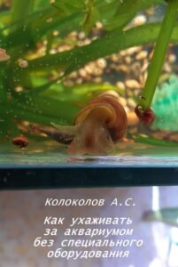 Ждем новых книг этого автора! Cover