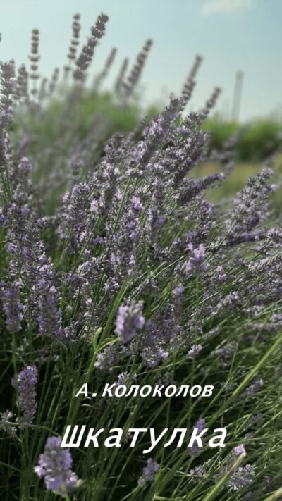 Шкатулка Cover